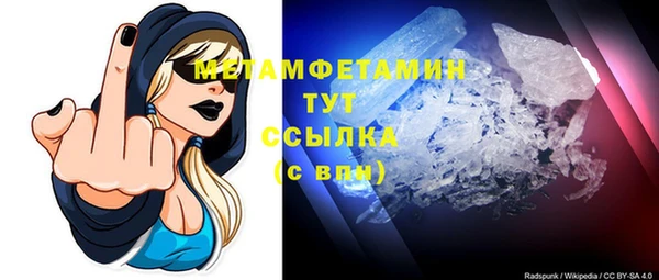 прущие грибы Новодвинск