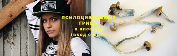стафф Нязепетровск