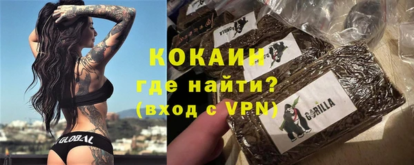 прущие грибы Новодвинск