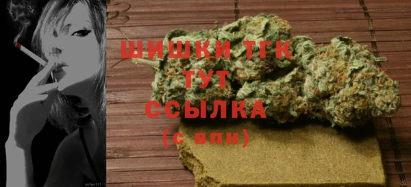 прущие грибы Новодвинск