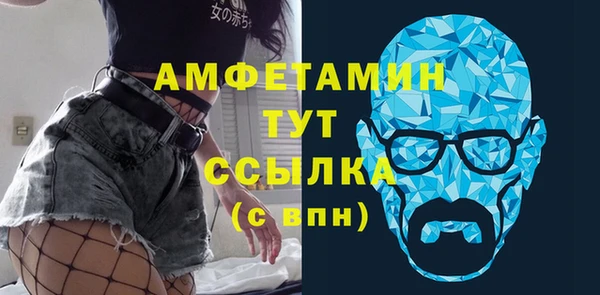 прущие грибы Новодвинск