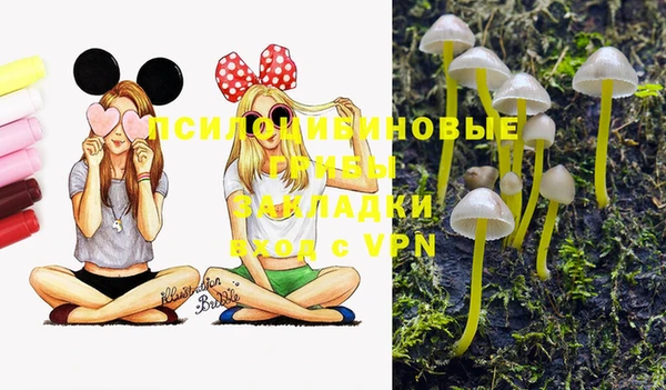 стафф Нязепетровск